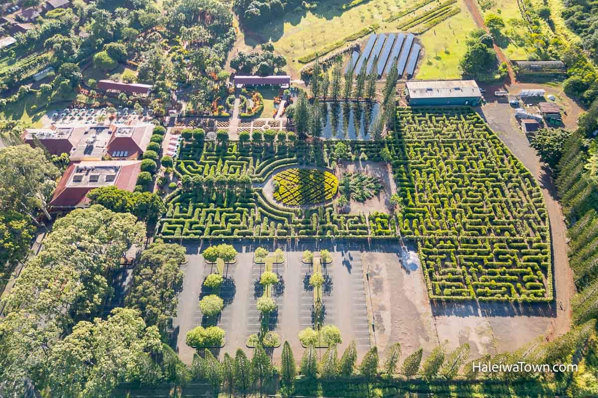 aerial view of dole plantation and pineapple maze on the north shore of oahu near haleiwa