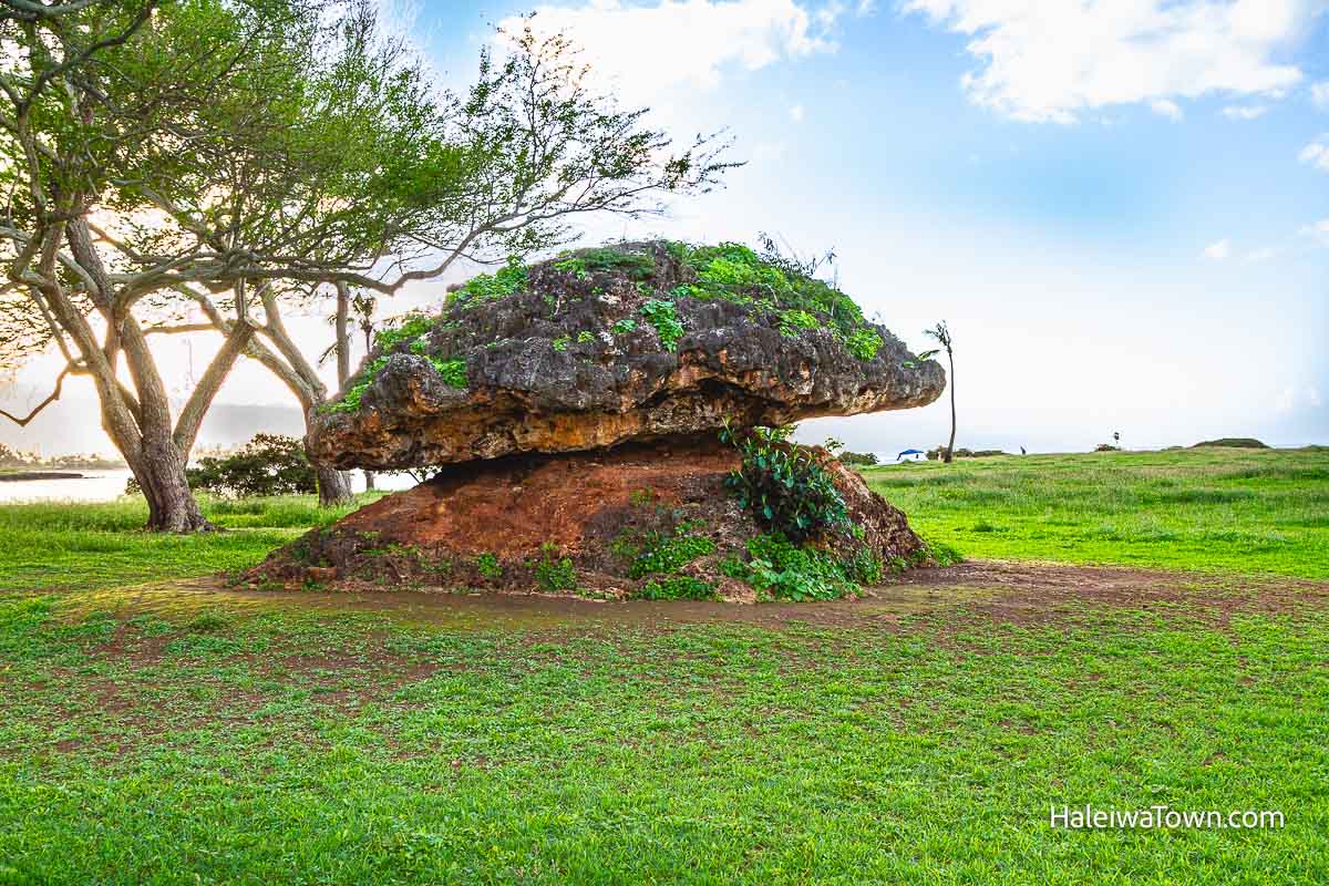 large mushroom shaped rock on a green grassy park in front of some trees
