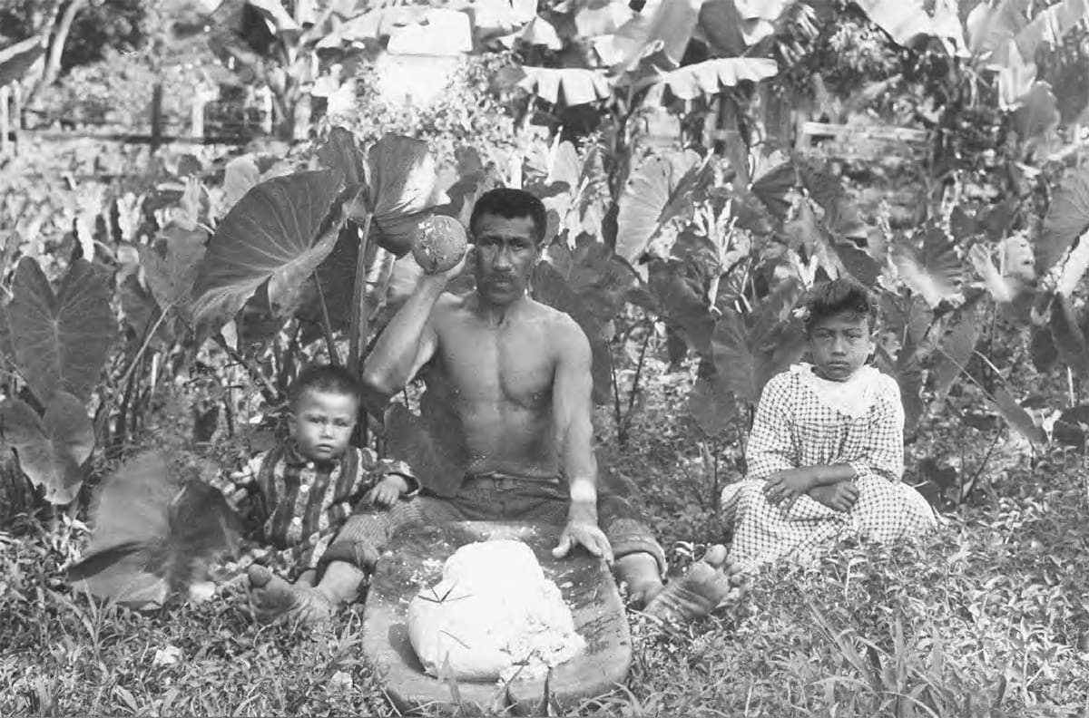 Hawaiian man with two kids on the floor cultivating taro after Western contact in the 1900s