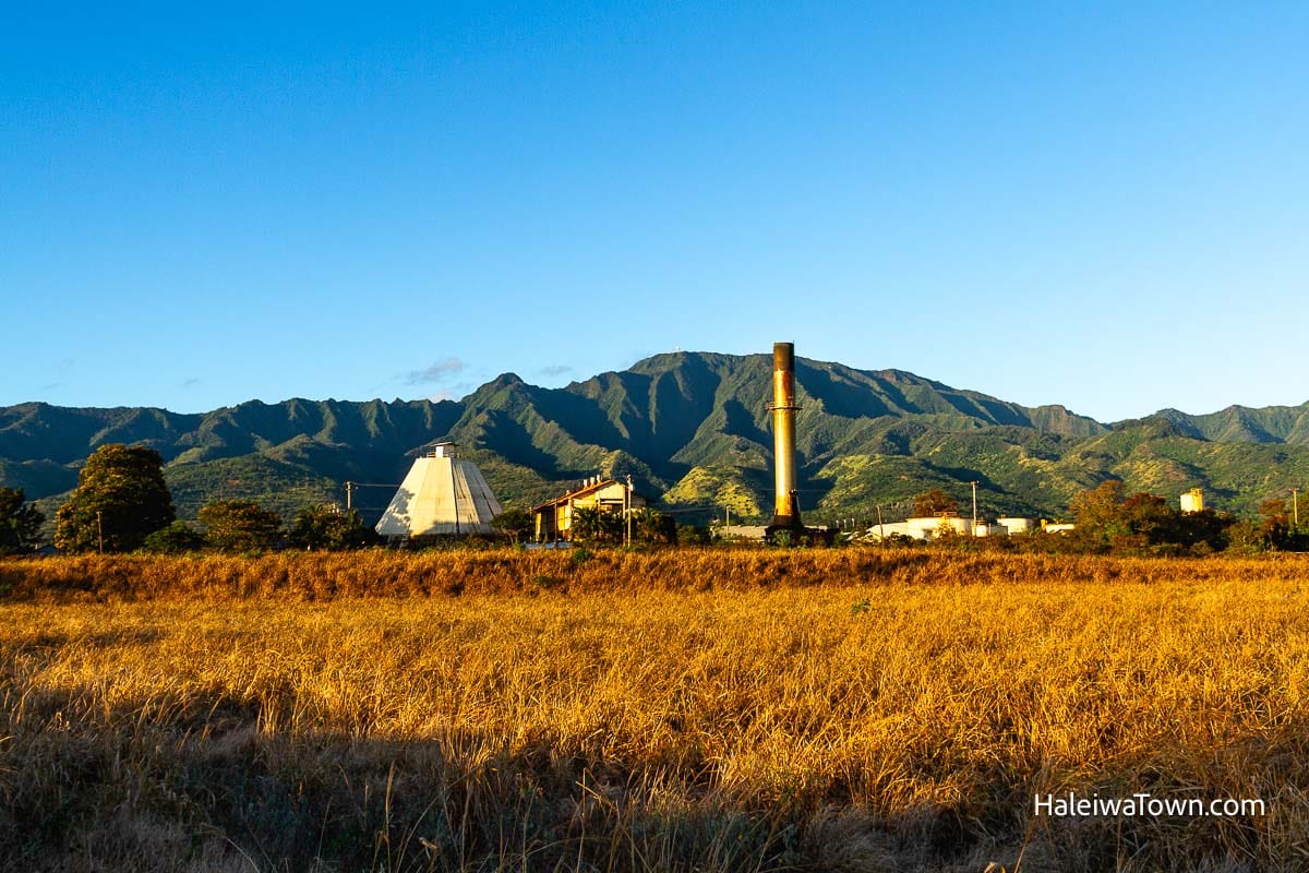 Waialua Sugar Mill with green mountain in the background and grass in the foreground lit up during sunset hours