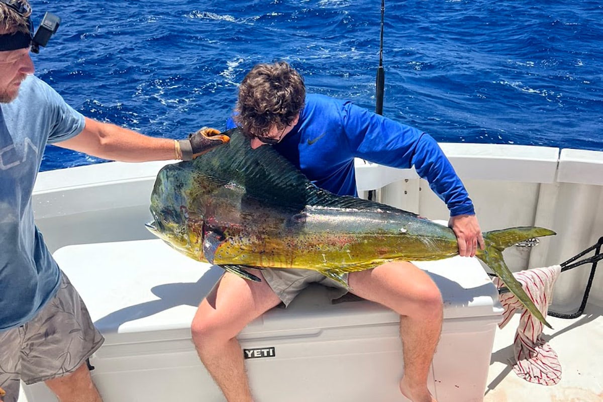 man sitting on a boat holding a large mahi mahi fish he caught while fishing on a sunny day