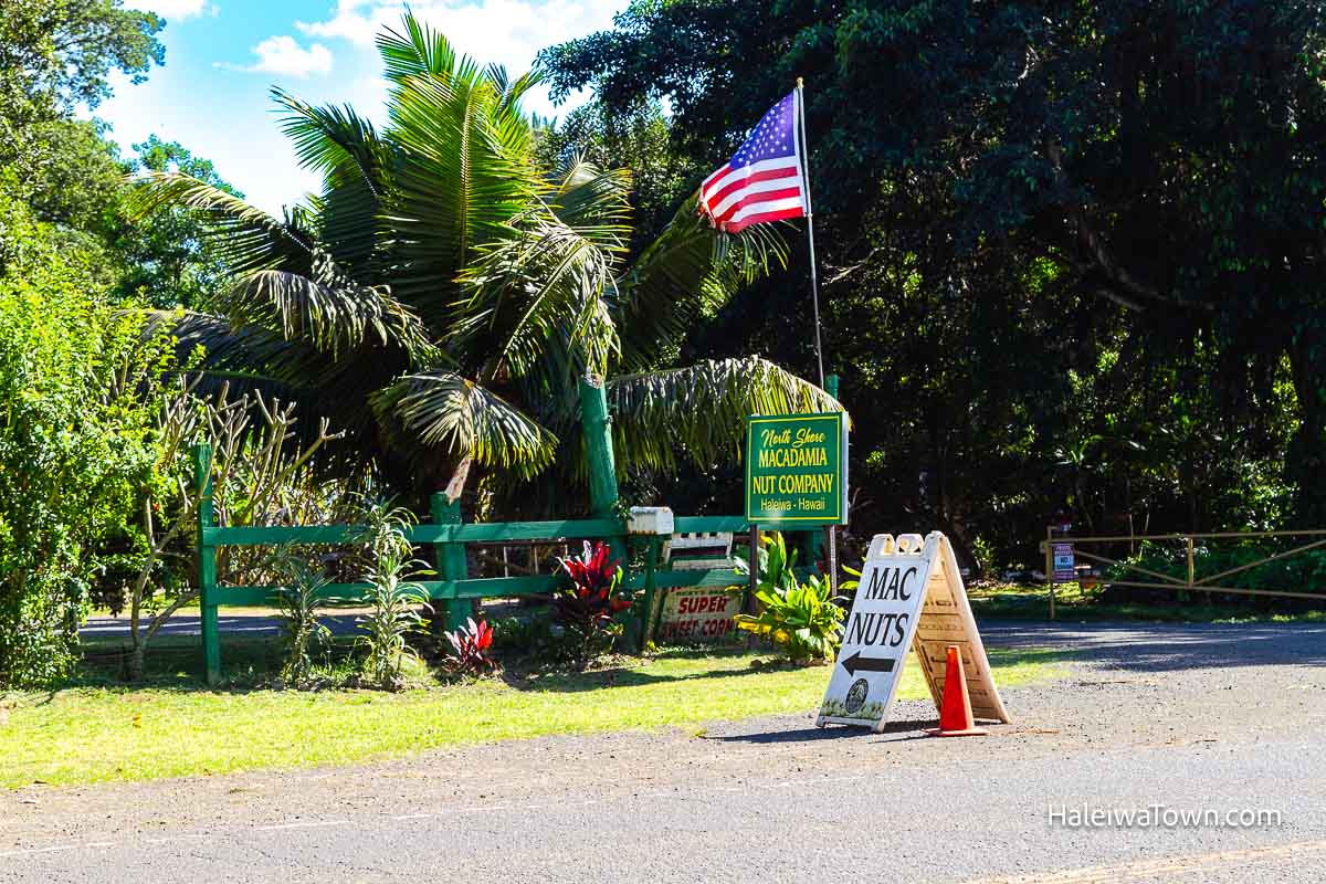 driveway entrance to macadamia nut farm surrounded by trees and greenery and a flag of the usa standing in front of the sign