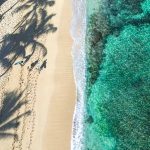 aerial view of blue ocean shadow of palm trees on sand and surfers walking on the beach