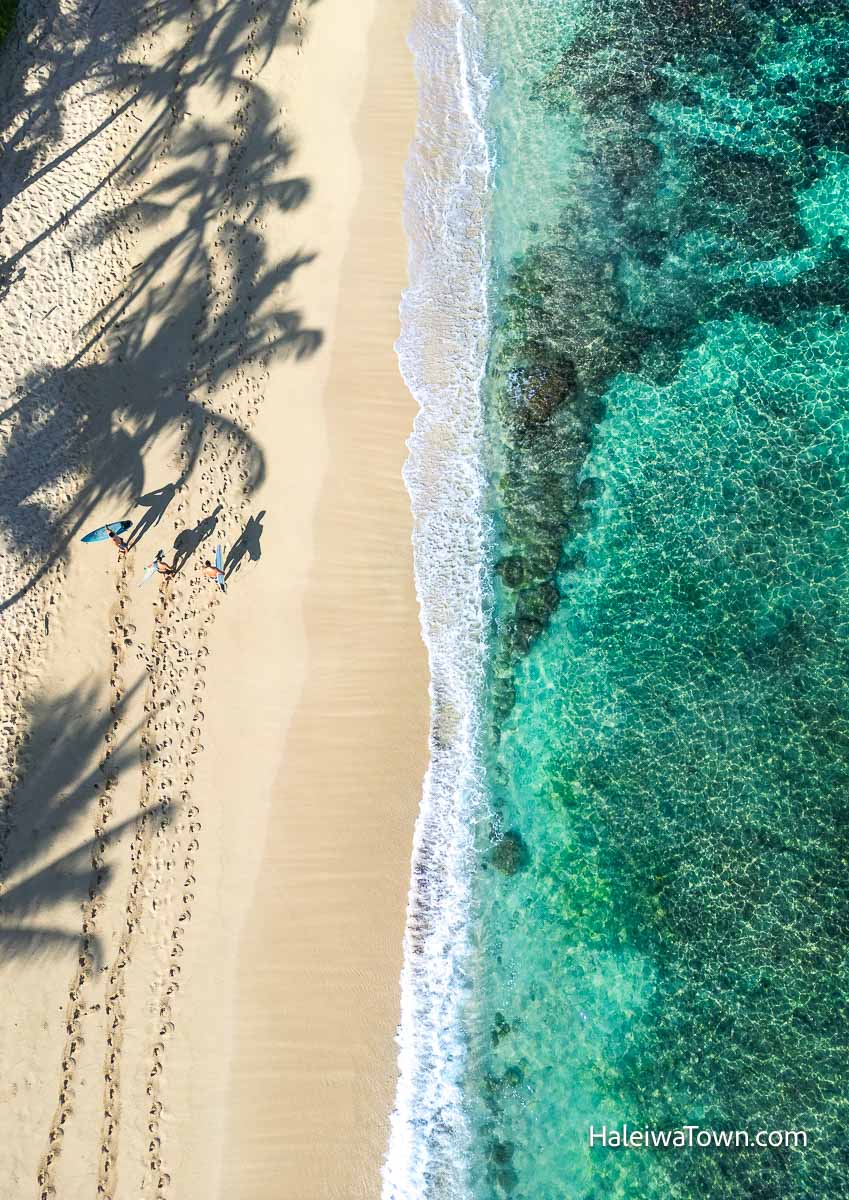 aerial view of blue ocean shadow of palm trees on sand and surfers walking on the beach