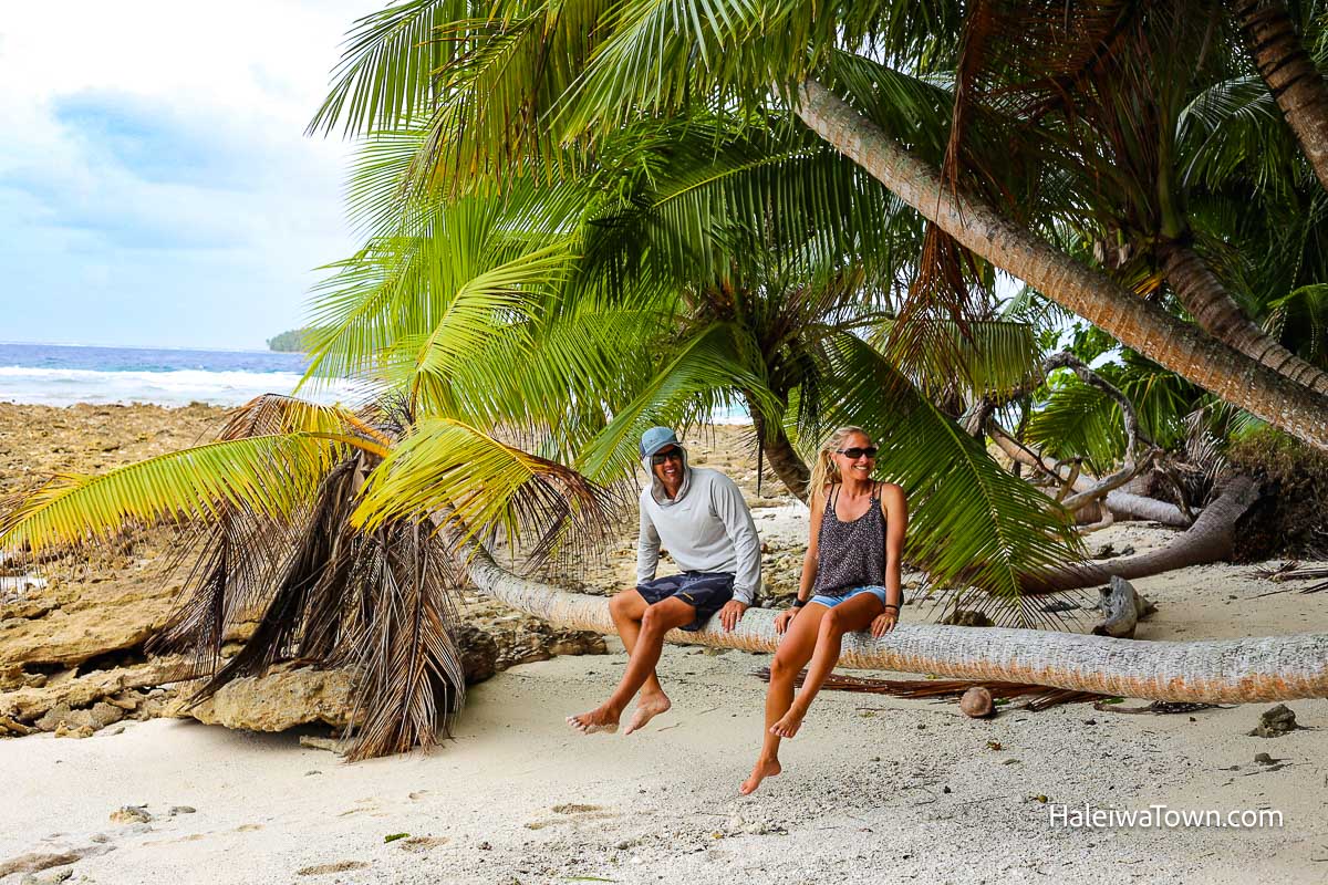 chuck and adriana sitting on a coconut palm tree on the beach