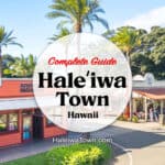 complete guide to haleiwa town hawaii