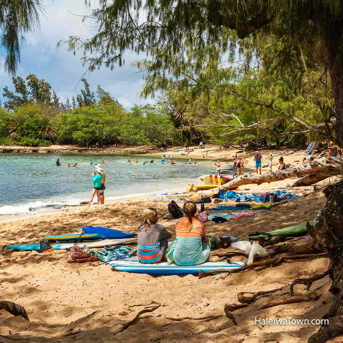 Puaena Point Beach Park, Oahu (Things to Do & What to Know) - Haleiwa Town