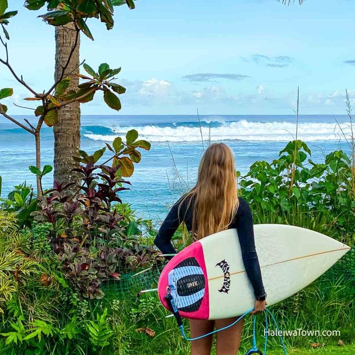 Surfer holding a surfboard and looking at the waves at Laniakea from a beachfront surf camp