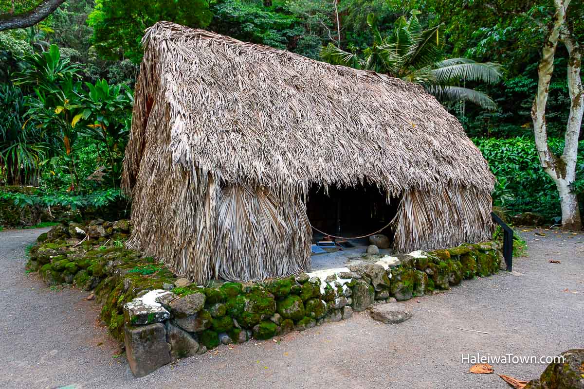 hawaiian cultural site at waimea valley park