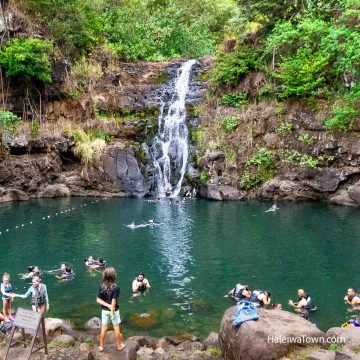 people swimming at waimea falls