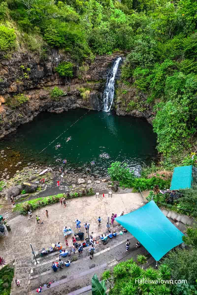 drove views of waimea falls hawaii