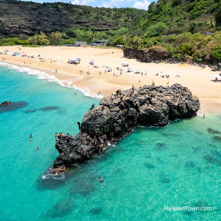 waimea bay beach park
