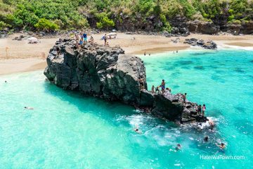 Waimea Bay Beach Park, Hawaii (Visitors Guide with Local Tips